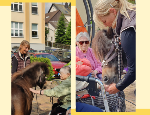 Tierischer Besuch in Heinrichsort