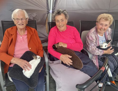 Tierische Freude in Wüstenbrand