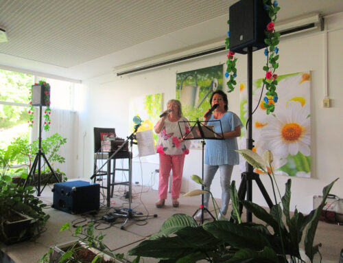Musikalischer Nachmittag mit dem „Duo Rosenherz“
