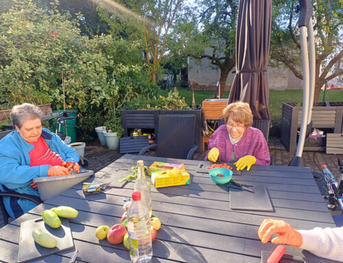 Salat der Gartengruppe in Wüstenbrand