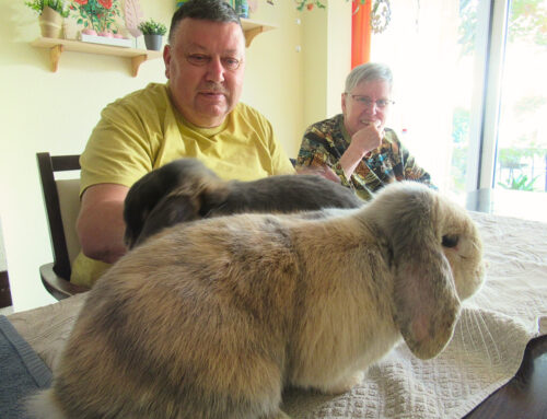 Tierischer Besuch in Hohenstein-Ernstthal