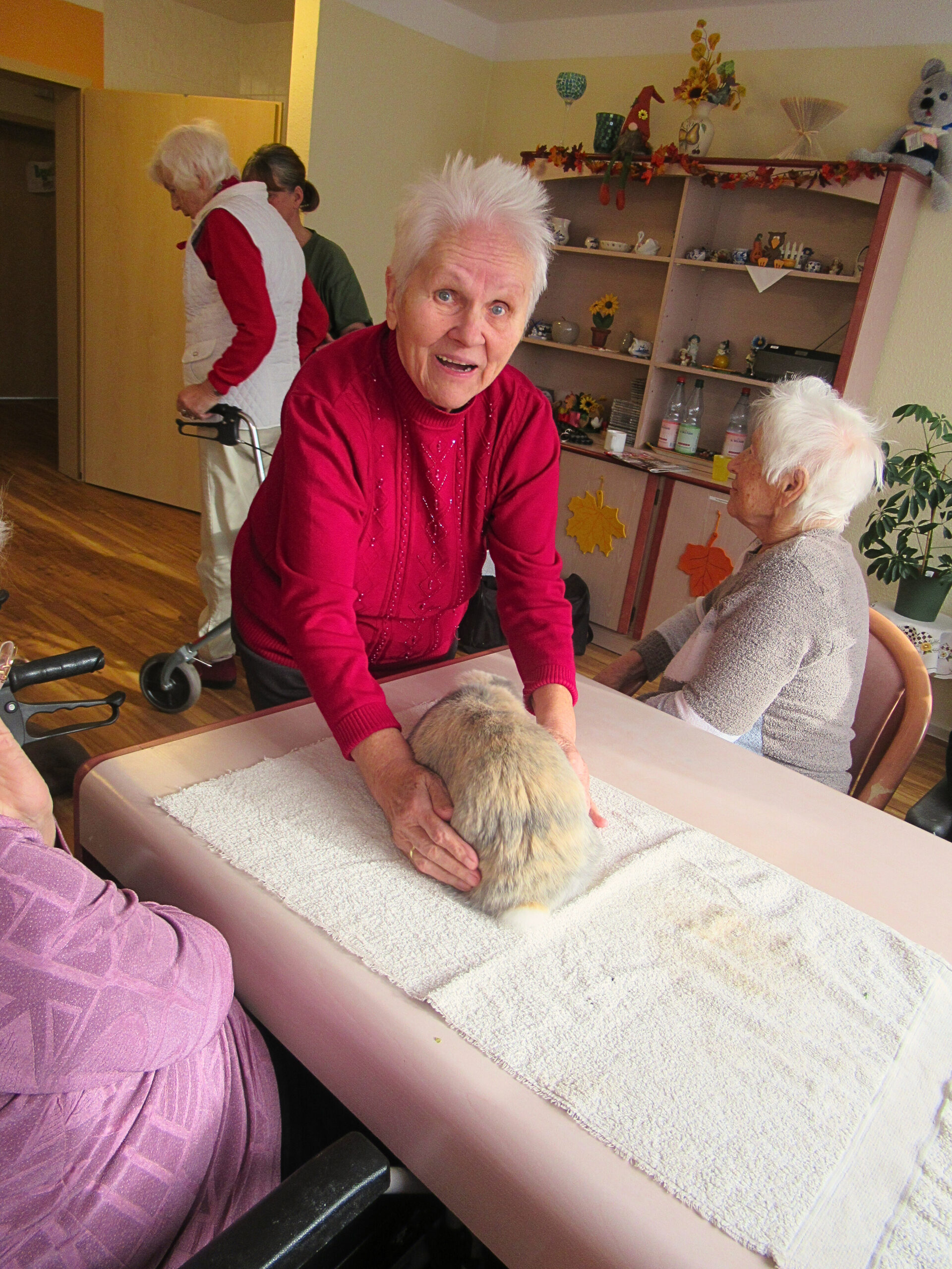 792e754e-aab1-4967-9237-7c0981147997