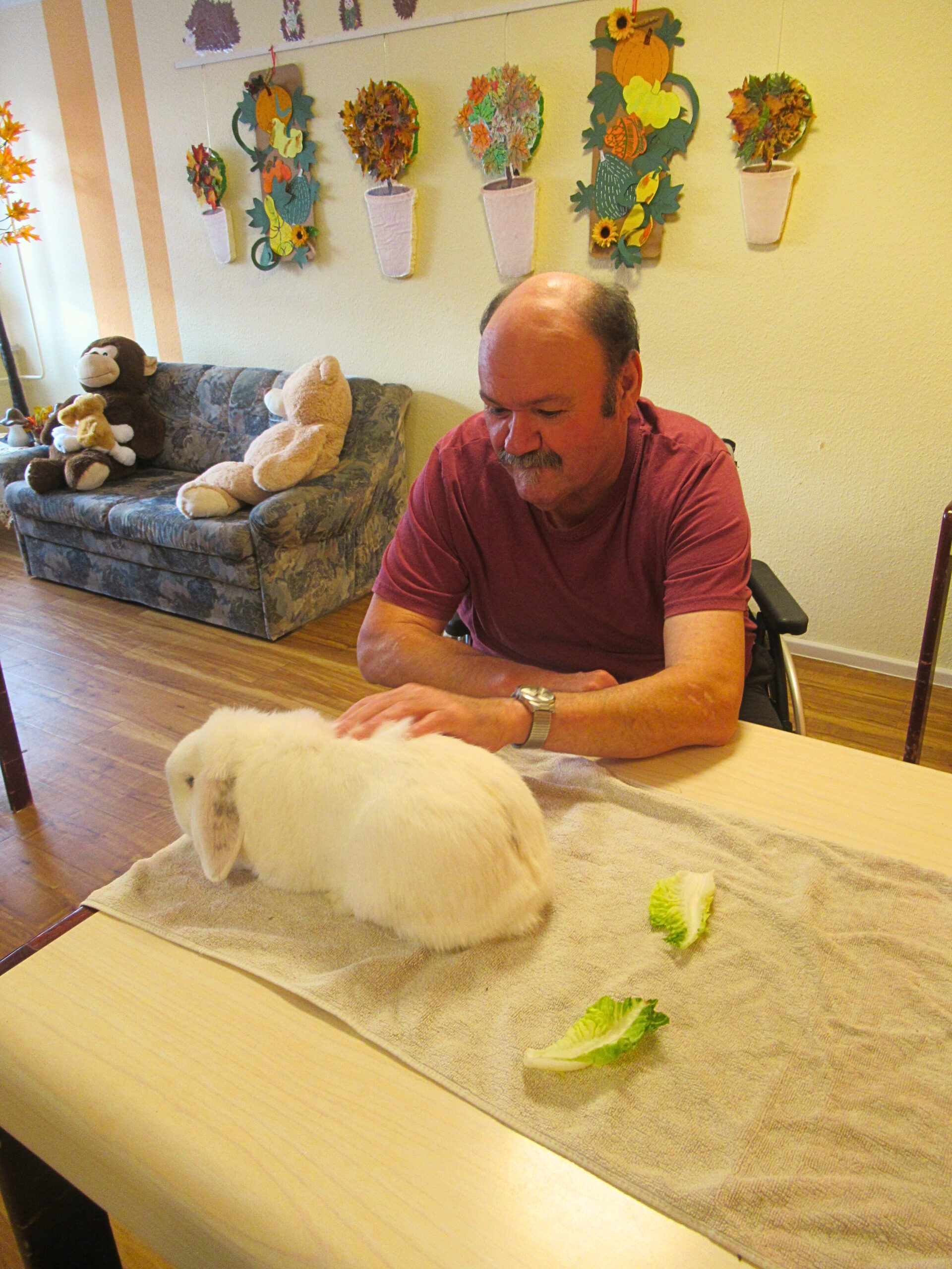 856f7f9e-dfe7-4381-b044-50992c89d3c1