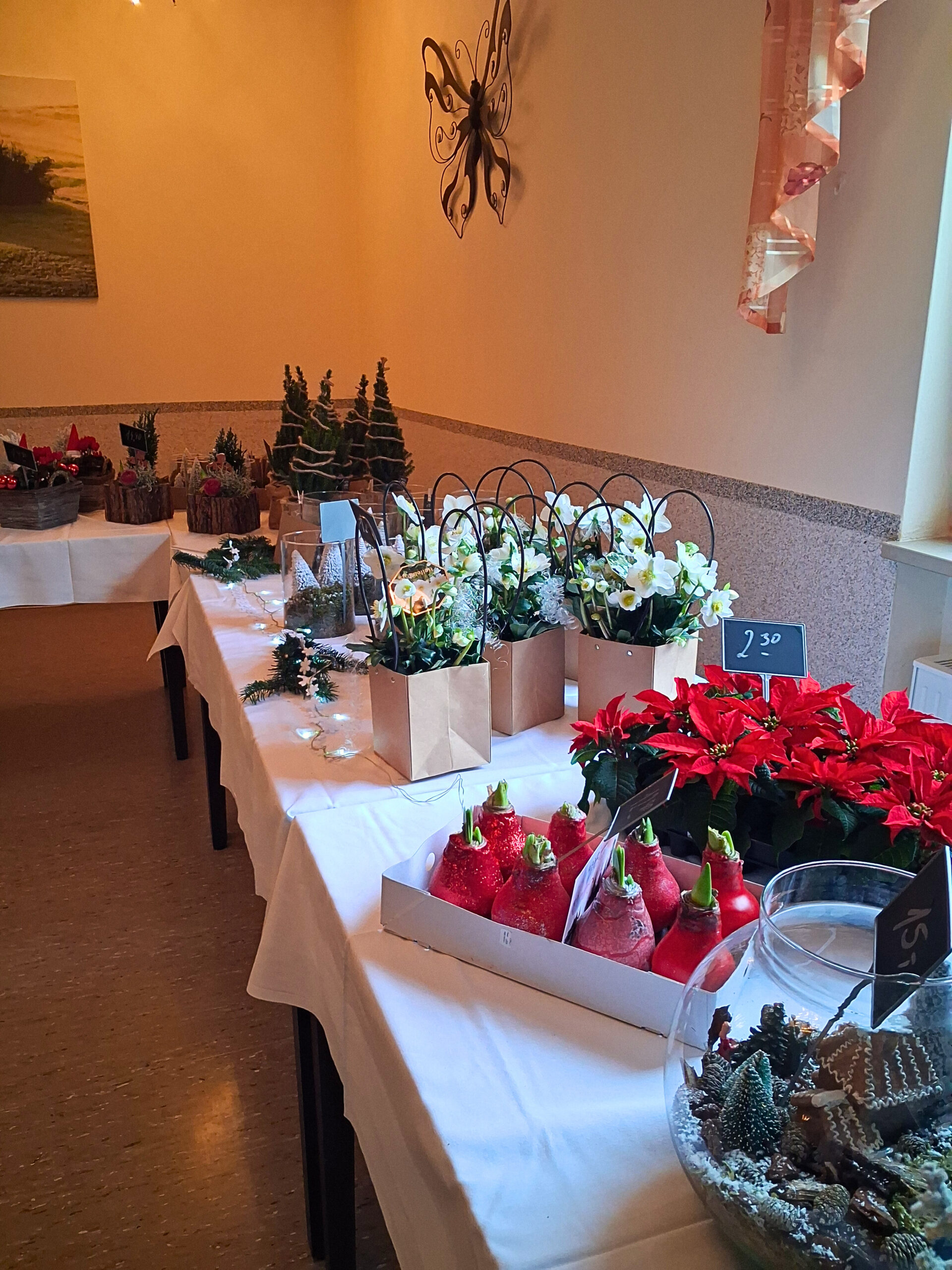 8c03d6ff-a680-426d-8f33-a2305e6ca801