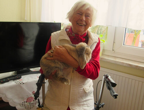 Tierischer Besuch in Hohenstein-Ernstthal