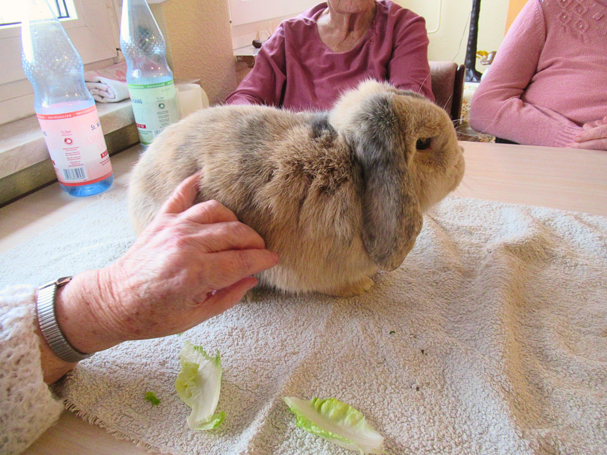 f8fd072c-c047-45a1-b0c3-4aae38f62be5