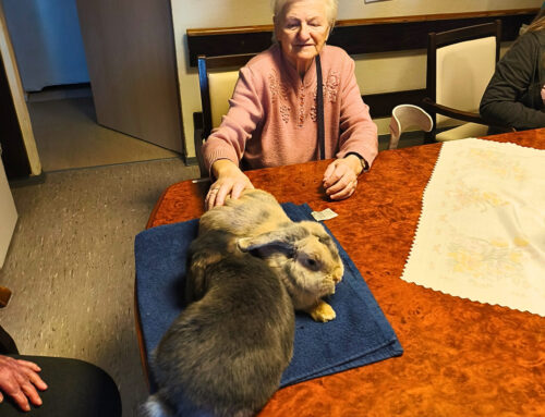 Tierische Glücksmomente in Hohenstein-Ernstthal