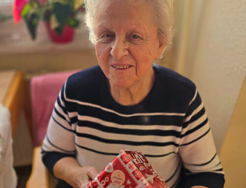 Fröhliche Weihnachten aus Hohenstein-Ernstthal!