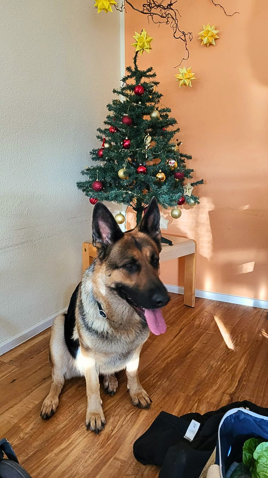 c0c73781-56f5-4618-8ddb-5021ef118bf1