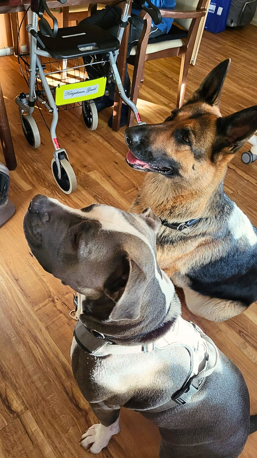 e35b0d82-4fac-4237-9aeb-97570ea49a8e