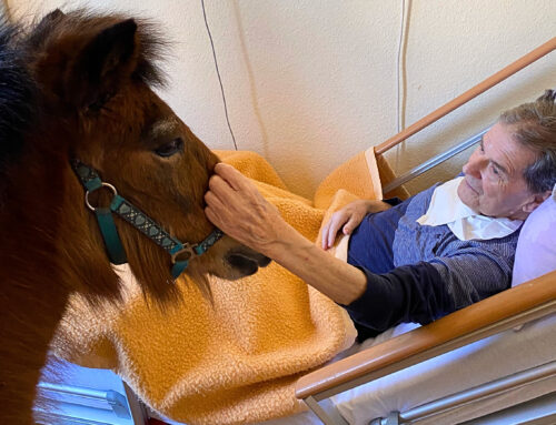 Tierischer Besuch in Heinrichsort